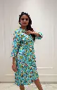 DSC00495.webp