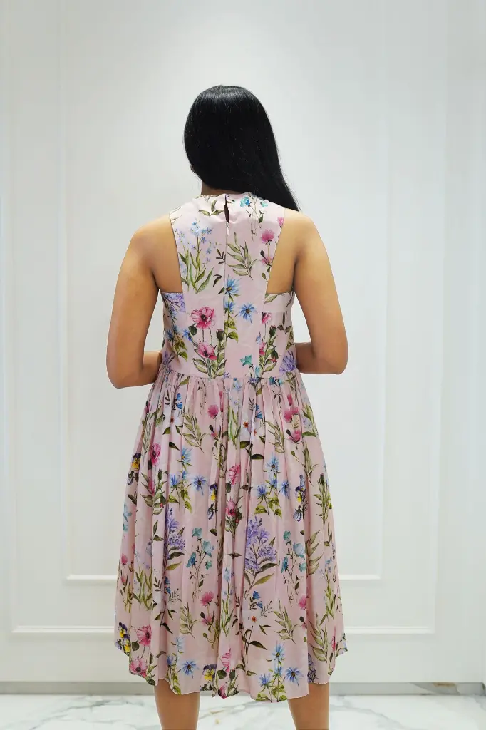DSC02445.webp