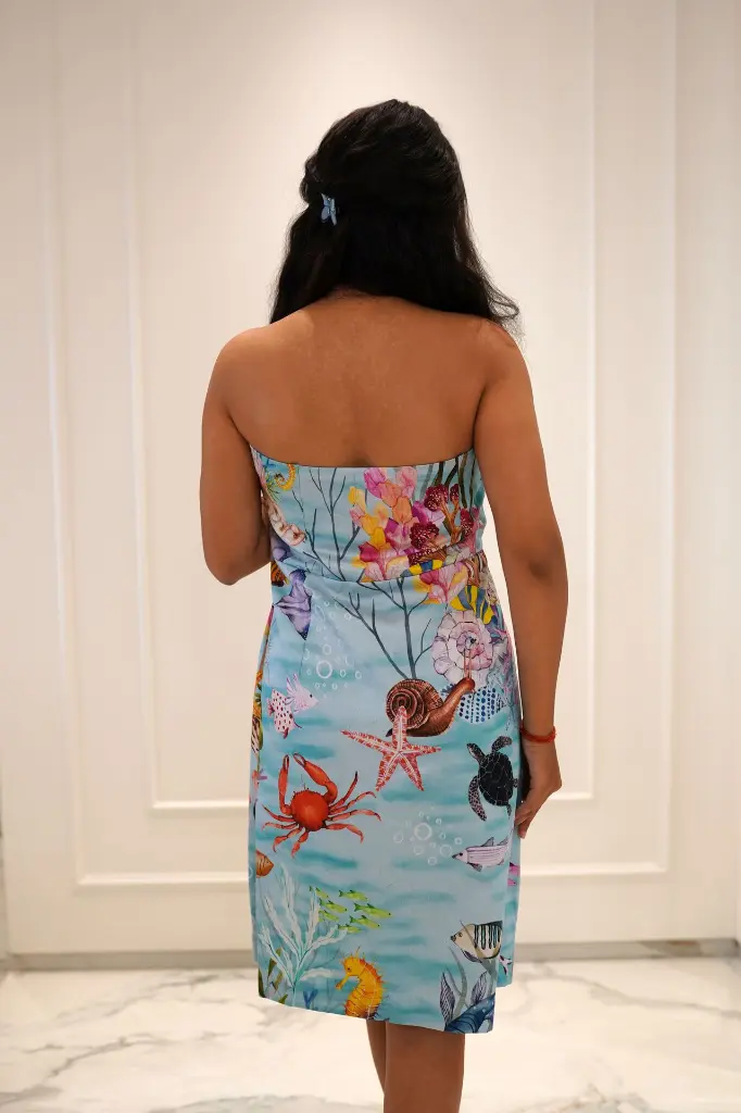 DSC00567.webp