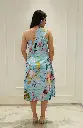 DSC09498.webp